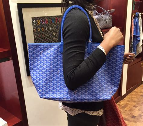 Videos of Goyard Tp Facebook